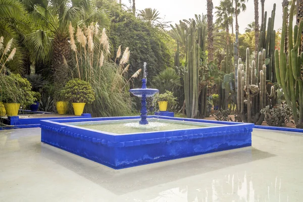 Beautiful Majorelle Garden established by Yves Saint Laurent in — Stock Photo, Image