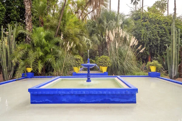 Beautiful Majorelle Garden established by Yves Saint Laurent in — Stock Photo, Image