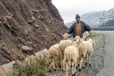 Berber çobanı sürüsüyle uzak Atlas Dağında