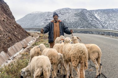 Berber çobanı sürüsüyle uzak Atlas Dağında