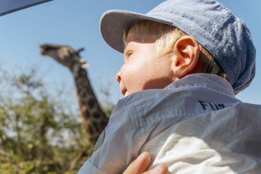 Bebek Güney Afrika Kruger Ulusal Parkı 'nda zürafayla safarinin tadını çıkarıyor.