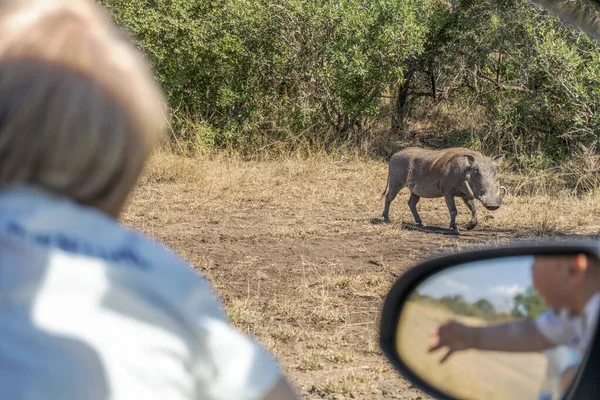 Baby Boy Enjoying Safari Javelin Kruger National Park South Africa — Stock Photo, Image