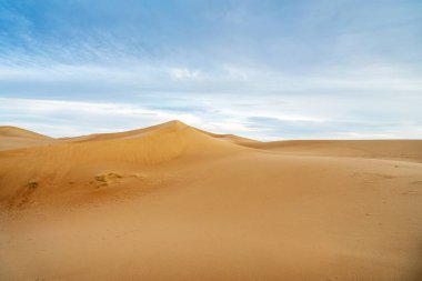 Sahra Çölü 'nün huzurlu manzarası kum tepeleri, Fas, Afrika