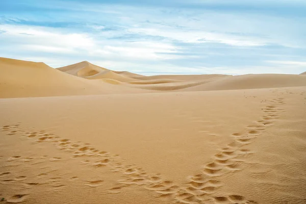 Fußspuren Nach Links Und Rechts Auf Sanddünen Der Sahara Marokko — Stockfoto