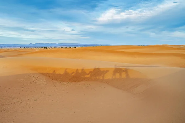 Schatten Der Kamelkarawane Sichtbar Auf Den Sanddünen Der Sahara Hintergrund — Stockfoto