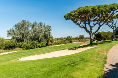 Güney Portekiz, Algarve 'deki çam ağaçları arasında güzel bir golf sahası.