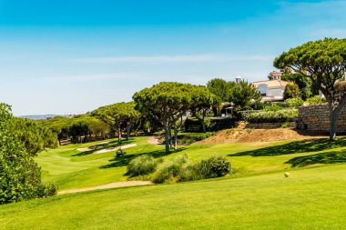 Güney Portekiz, Algarve 'deki çam ağaçları arasında güzel bir golf sahası.