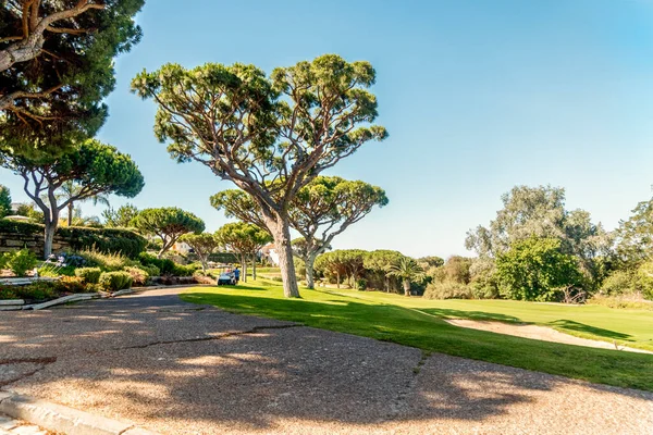 Beautiful Golf Course Pine Trees Algarve South Portugal — Stock Photo, Image