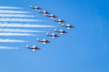 The Canadian Snowbirds performing at an air show clipart