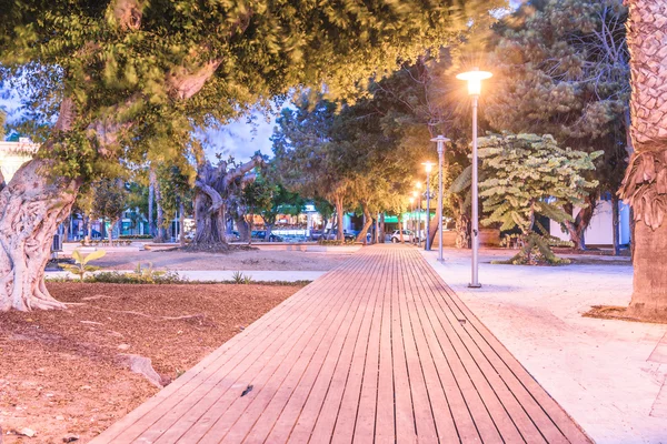 Dettaglio di un bellissimo parco a Paphos, Cipro . — Foto Stock