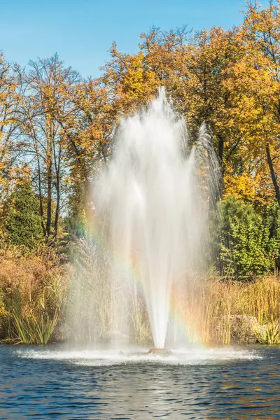 The fountain on the lake in the park. — Stock Photo, Image