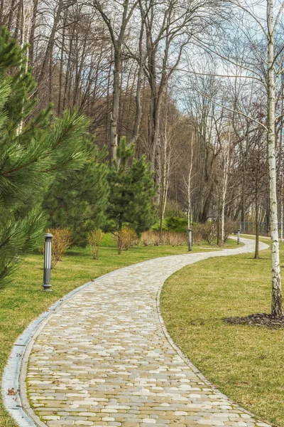 Bahar parkta güzel yolu. — Stok fotoğraf