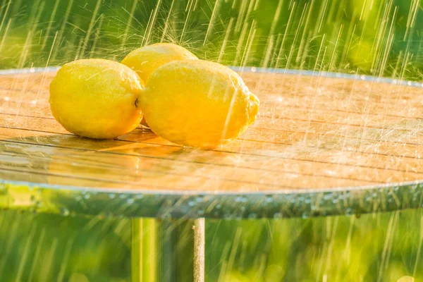 비에 있는 정원에서 테이블에 레몬. — 스톡 사진