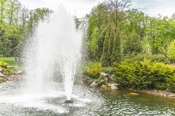 Fontaine sur le lac dans un parc paysager . — Photo