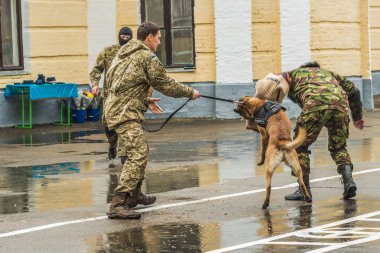 Doğu Avrupa çoban eğitim parçası.