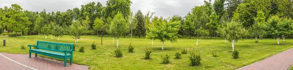 Panorama van de boomgaard in het darmkanaal van de Mezhyhirya in de buurt van Kiev. — Stockfoto