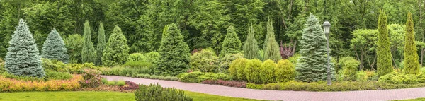 Panorama of the fragment of the park in Mezhyhiria near Kiev. — Stock Photo, Image