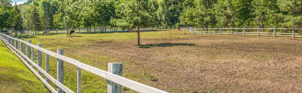 Panorama di un luogo per passeggiate estive e pascoli per mucche . — Foto Stock