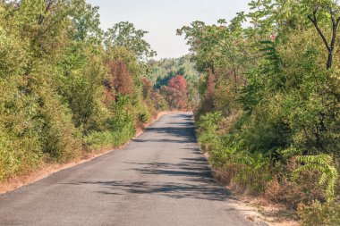 Koca Balkan Dağları, Karadağ ormanda yol.