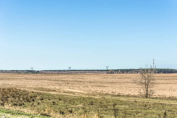 新鮮な春の畑は耕作の準備です 森の横にある農地 緑のスプリング フィールド 日当たりの良い田舎の春の風景 村の近くの木 ジトームィル地域 ウクライナ — ストック写真