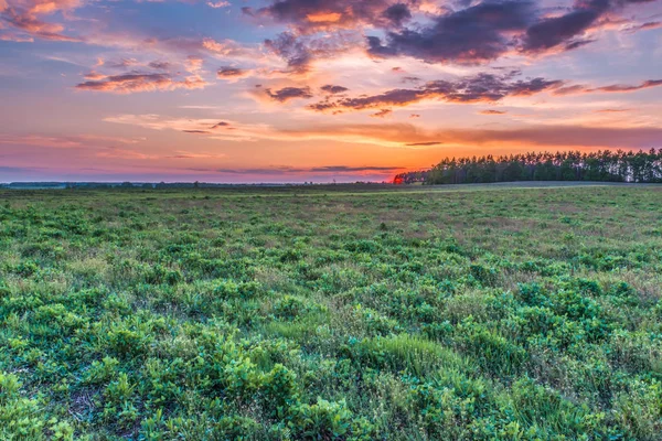 Günbatımı bahar alanında bulunan Kiev region, Ukrayna.