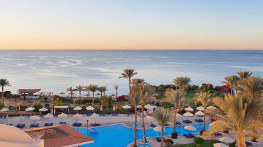 Kızıl Deniz kıyısında palmiye ağaçları olan güneşli tatil köyü plajı, Sharm El Sheikh, Mısır.