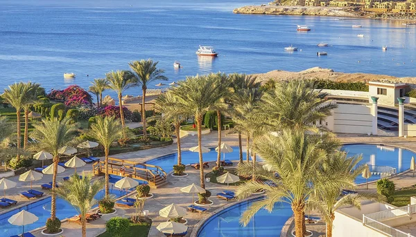 Sunny Resort Beach Palm Trees Red Sea Coast Sharm Sheikh — Stock Photo, Image