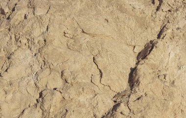 Sharm El Sheikh, Mısır 'daki mercan taşı yapısı.