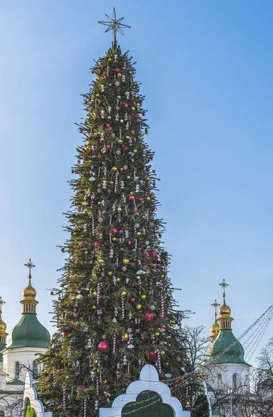 Árbol Navidad Encuentra Plaza Sofía Kiev Ucrania Fondo Puede Ver — Foto de Stock