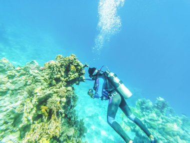 Scuba dalgıcı, Mısır 'da Kızıldeniz' deki bir mercan resifinde dalış yapmaktan ve temiz suda fotoğraf çekmekten zevk alır..
