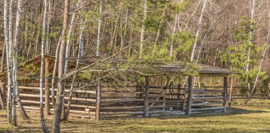 Ormandaki bir çayırda atlar için ağıl.