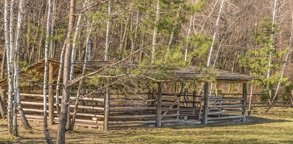 Загон для лошадей на пастбище в лесу
.