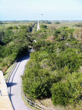 Florida Everglades Ulusal Parkı 'ndaki Tram Yolu Köpek Balığı Vadisi Gözlem Kulesi