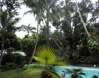 Key West, Florida 'daki Hemingway Evi, Usa