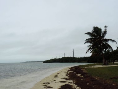 Plaj - Key West, Florida 