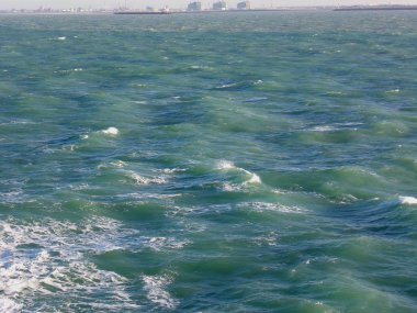 Calais 'den Dover' a giden feribota binin.