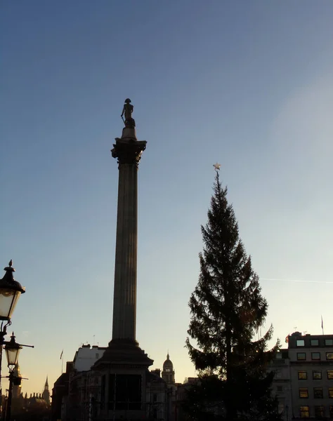 联合王国伦敦市特拉法加广场Nelsons柱国家纪念馆 — 图库照片