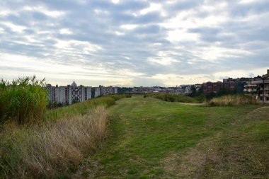 İtalya, Roma 'daki Pineto Bölgesel Parkı' nda yürüyün 
