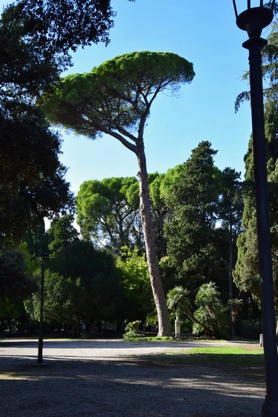 Borghese Gallery Museum Garden Villa Borghese Park City Rome Italy — Stock Photo, Image