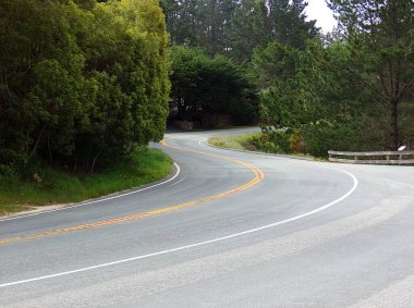 Kavisli Otoyol 101 - Kaliforniya Keşif Yolu