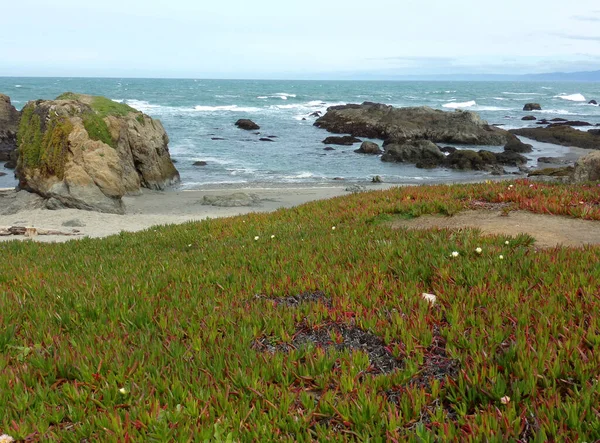 Parcours Routier Long Route Route Découverte Californie Falaises Côtières Plages — Photo