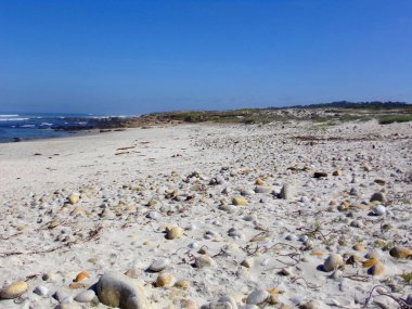 Dalgalı Stone Beach - Otoyol boyunca yol gezisi Keşif Yolu 1    