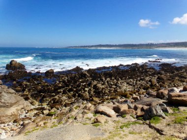 Kaliforniya 'daki Stone Beach, Kısaltılmış sulardaki Sahil Kayalıkları 1nci Otoyol boyunca yapılan keşif gezisi     