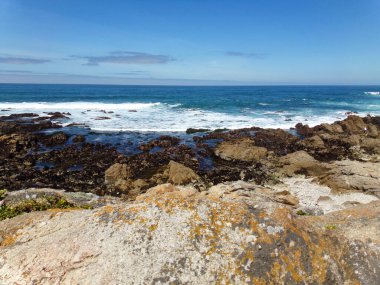 Kaliforniya 'daki Stone Beach, Kısaltılmış sulardaki Sahil Kayalıkları 1nci Otoyol boyunca yapılan keşif gezisi     