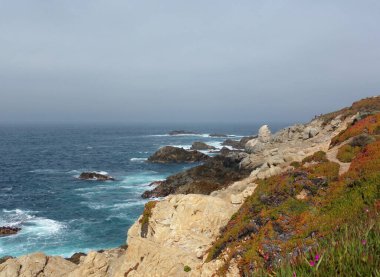 Kaliforniya 'daki Stone Beach, Kısaltılmış sulardaki Sahil Kayalıkları 1nci Otoyol boyunca yapılan keşif gezisi     