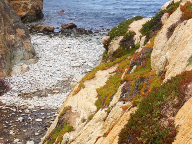 Yüksek ve pürüzlü uçurumlarıyla Kaliforniya Sahil Hattı - 1nci Karayolu Keşif Yolu