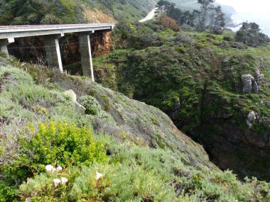 Yüksek ve pürüzlü uçurumlarıyla Kaliforniya Sahil Hattı - 1nci Karayolu Keşif Yolu