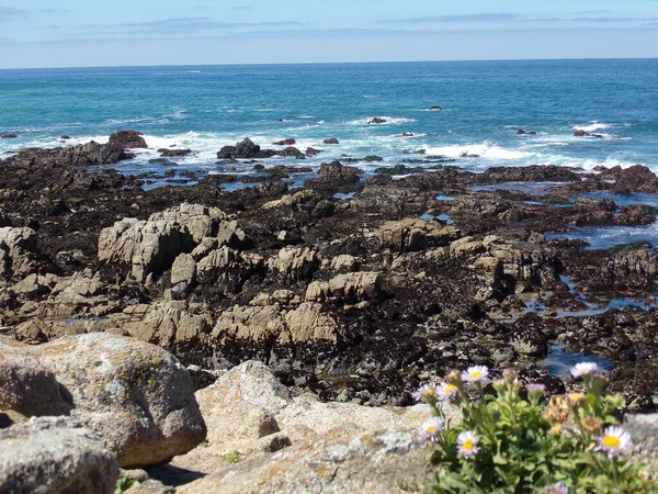 加州石滩 1号公路发现路线沿岸浅水区的海岸岩石 — 图库照片