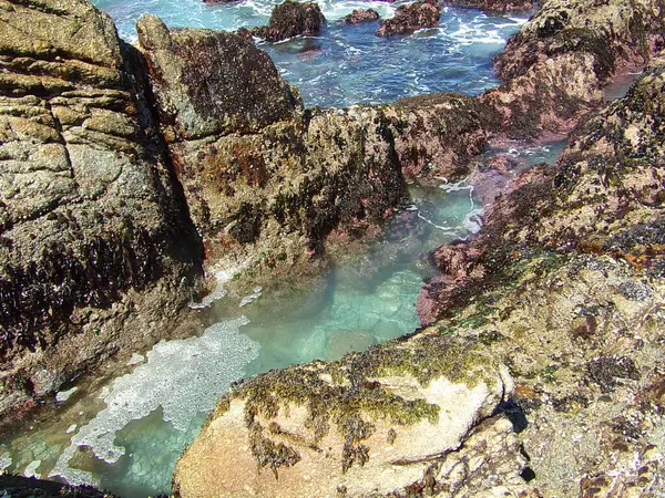 Playa Piedra California Coastal Rocks Las Aguas Shallow Waters Shore —  Fotos de Stock