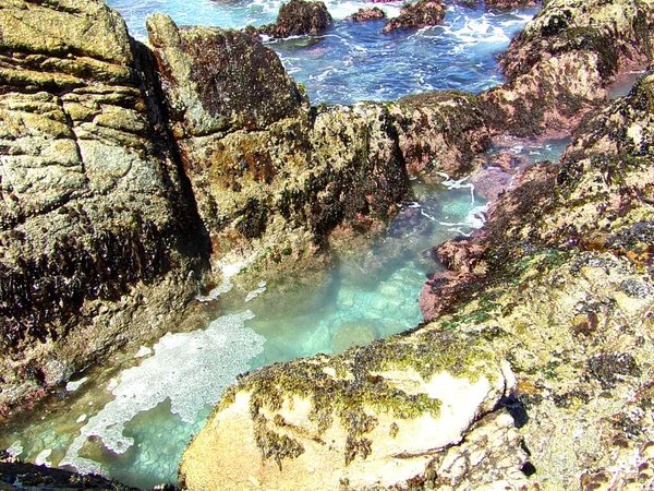 Stone Beach Californie Coastal Rocks Shallow Waters Shore Road Trip — Photo